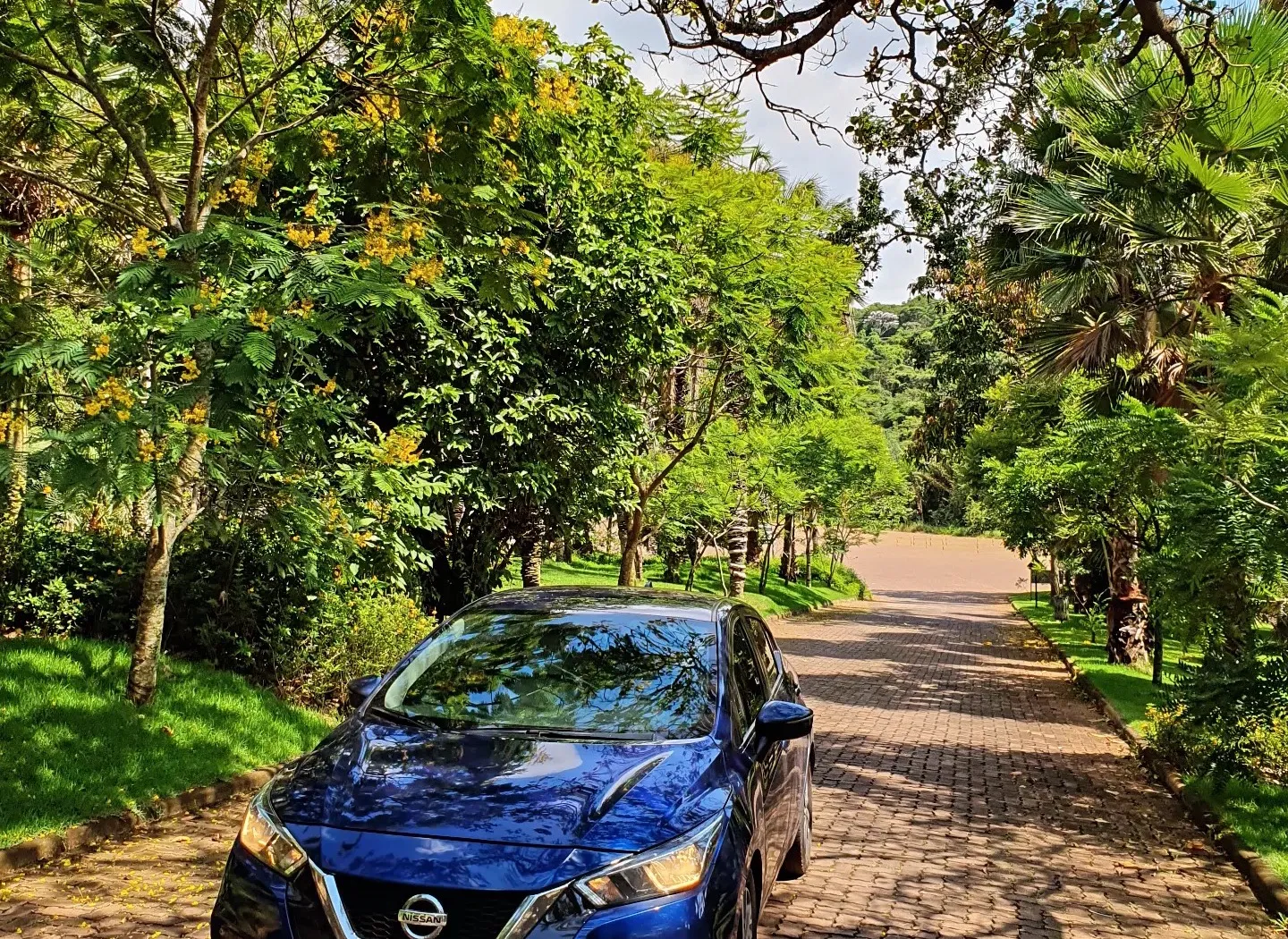 Carro da VD Transportes na estrada arborizada de entrada do Instituto Inhotim